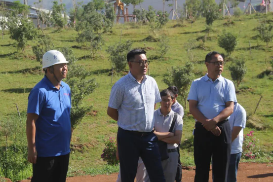 云南宾川：把废旧矿山变成绿水青山 绿水青山变成金山银山