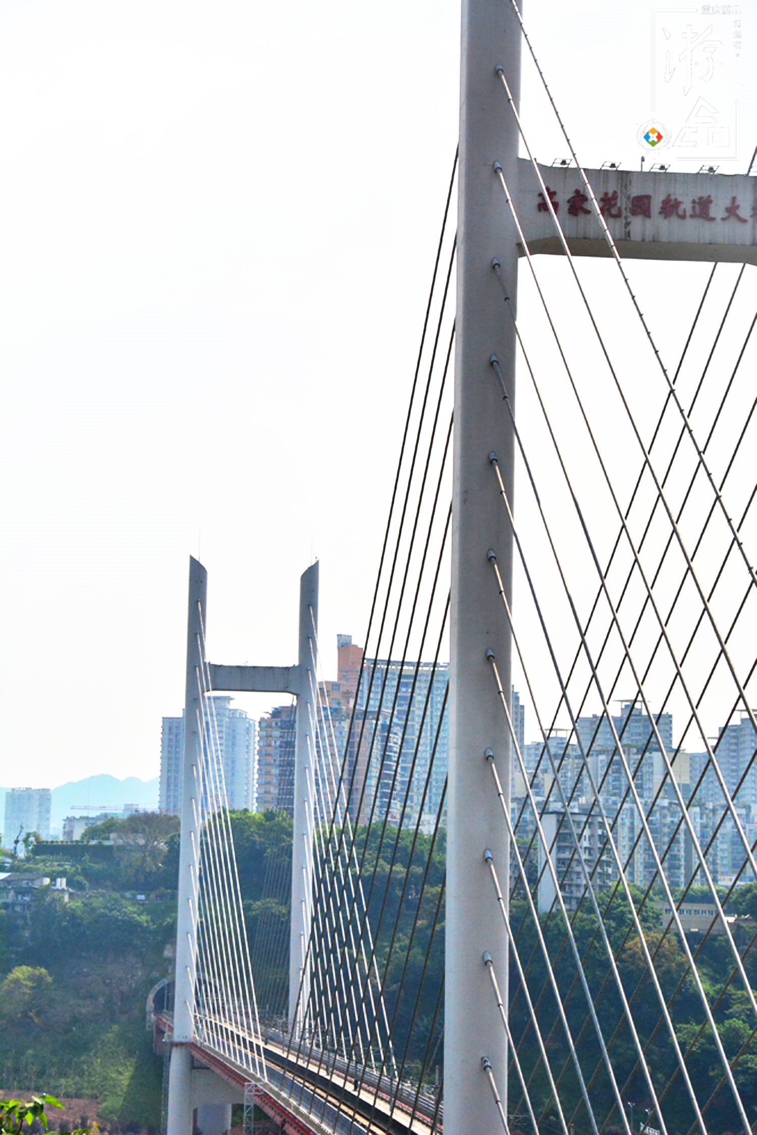 重庆主城最“低调”的轨道桥：高家花园大桥，连接沙坪坝与江北