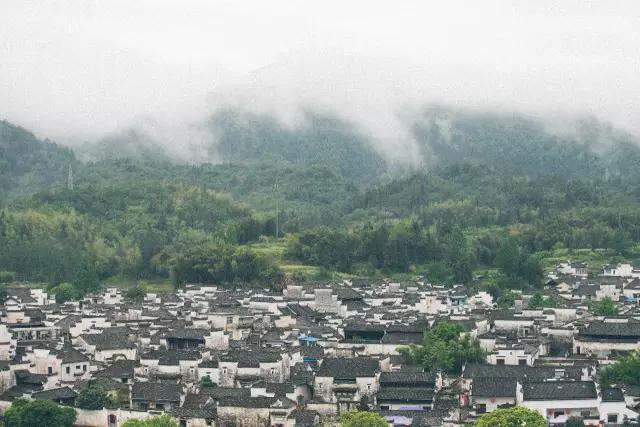 五九尽处又逢春，在西递，邂逅故乡里的烟雨