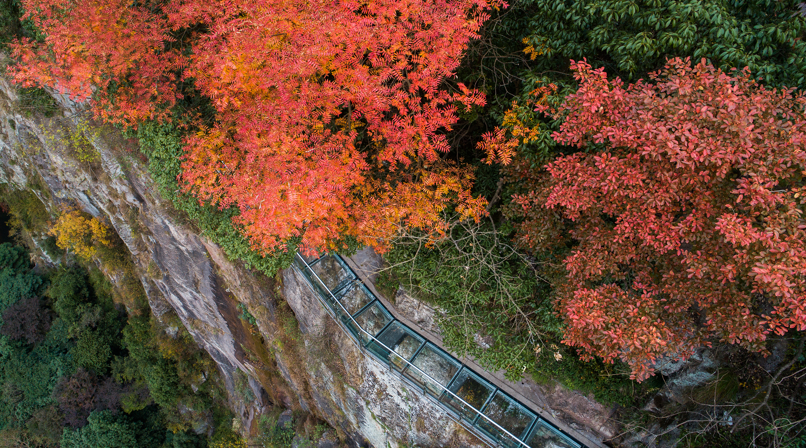 宁波哪里好玩？这三个深山里的绝美秋景，宛若大自然打翻了调色板
