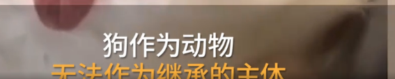单身女子将60万遗产留给狗，公证处：从业几十年第一次遇到这种诉求