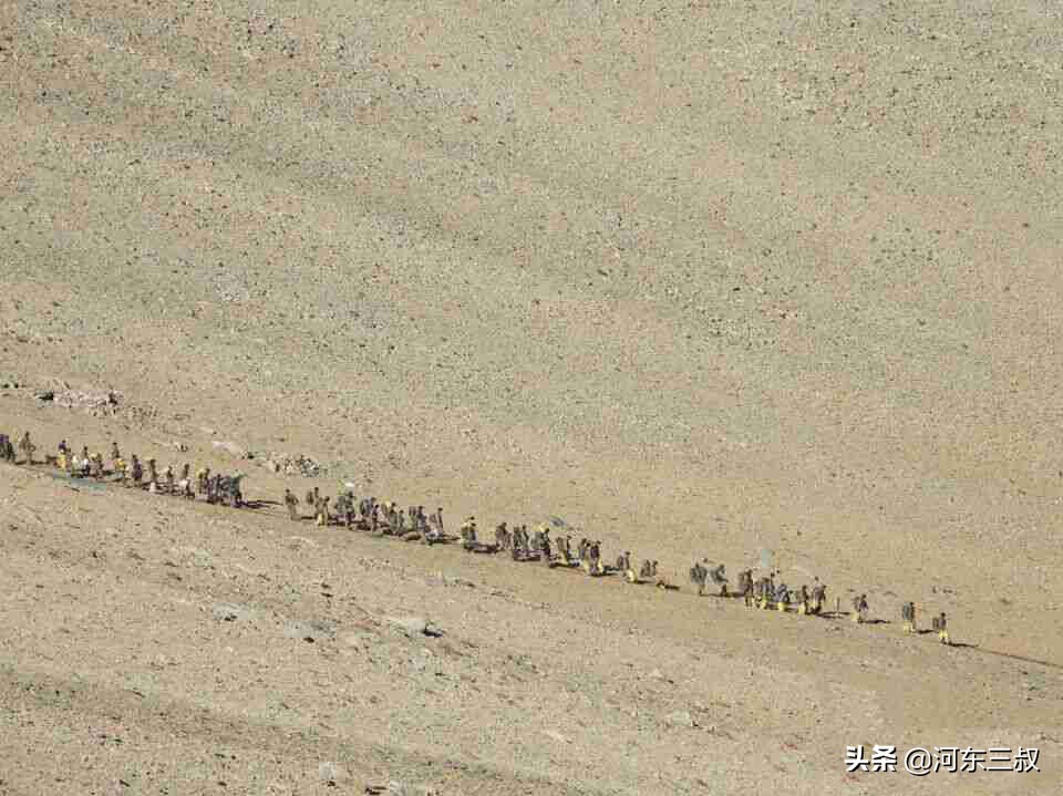 印度镜头中的解放军，印军从后怕到不断鼓吹“成功获胜”