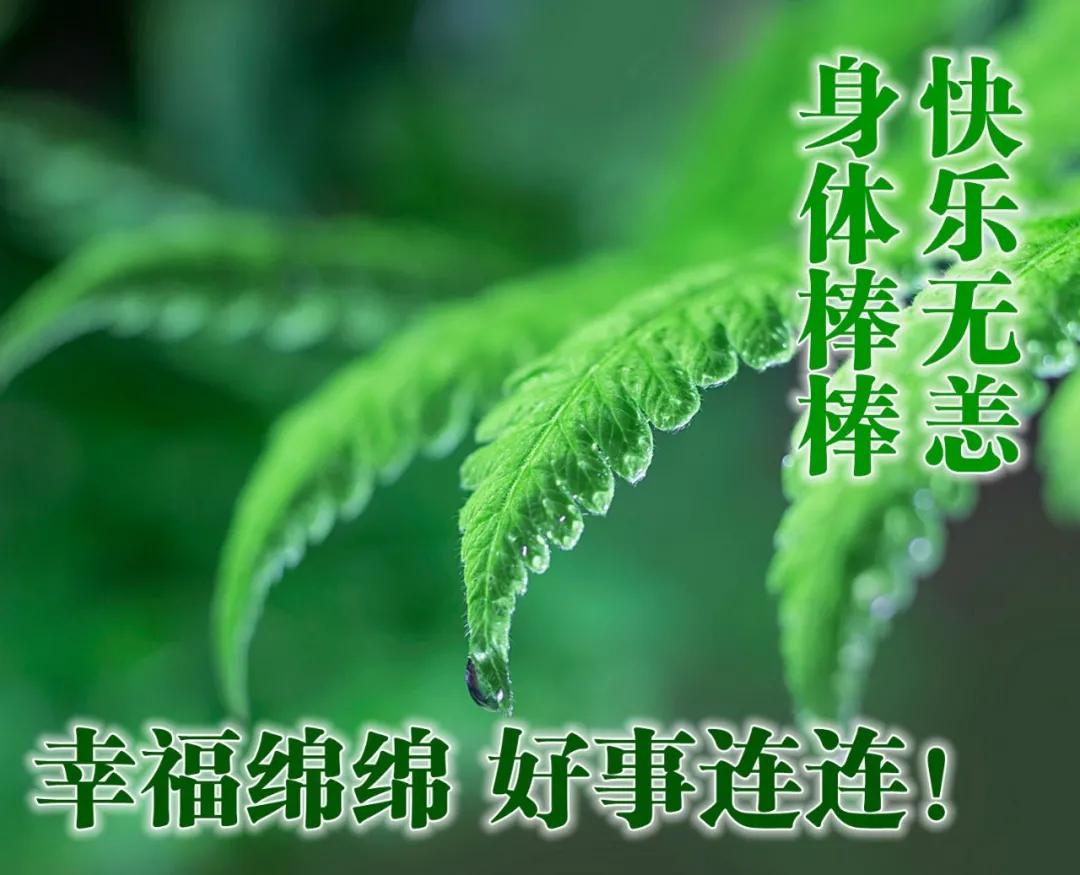 创意唯美早安图片带祝福语 亲人朋友圈早上好图片图片