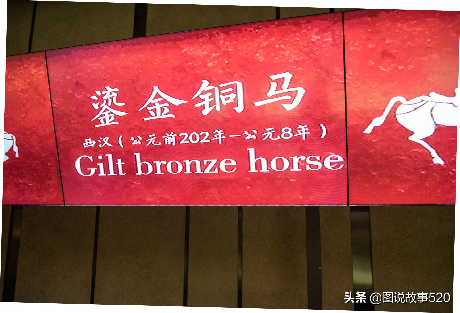 汗血寶馬多少錢一匹,純種汗血寶馬多少錢一匹