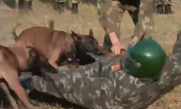 深扒！张馨予的老公何捷！确实很牛