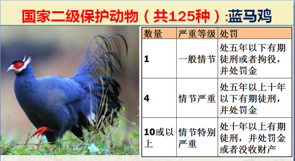 国家最新125类二级野生保护名录，图片及违法对应刑责