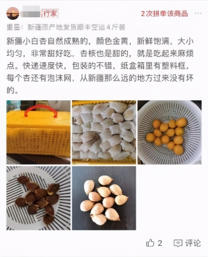 “杏王”出疆記