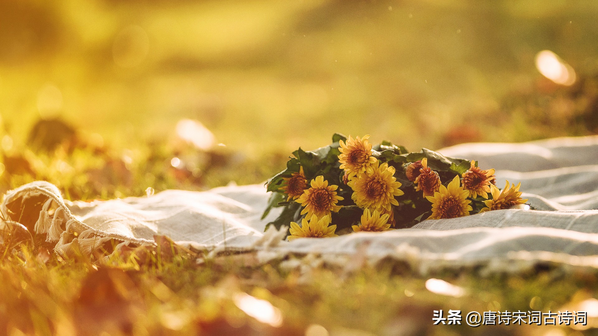 唐诗中描写秋天的诗句，你都知道么-第3张图片-非凡网