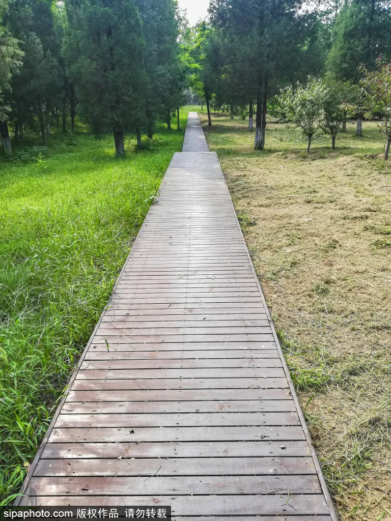 免門票!森林公園裡藏著個“小內蒙古”,還免費停車~