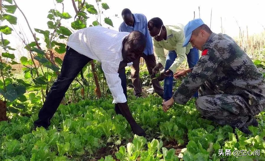 非洲人吃不饱饭埋怨土地差，看到中国维和士兵
