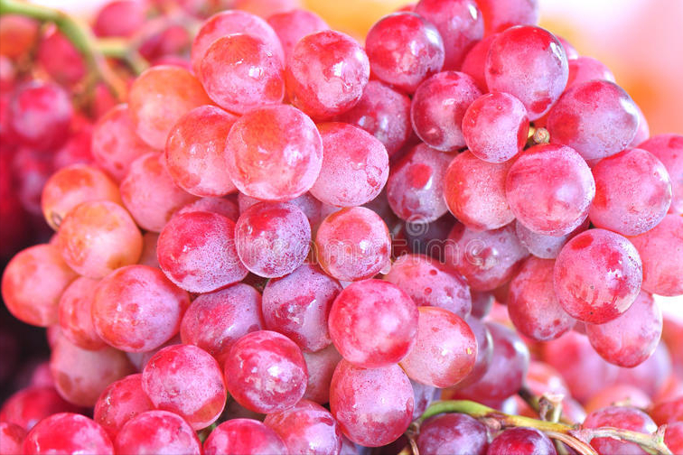 洗葡萄别再用盐水了，教你正确洗法，干净没虫卵，吃葡萄不用去皮