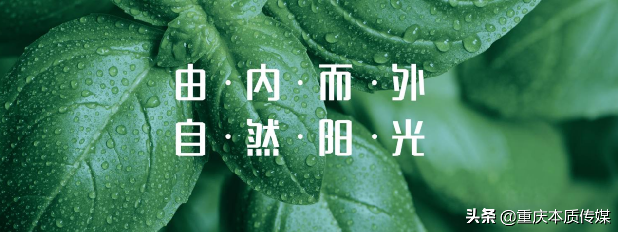 自然阳光荣膺两项史蒂夫杰出雇主奖，多层次提升核心竞争力