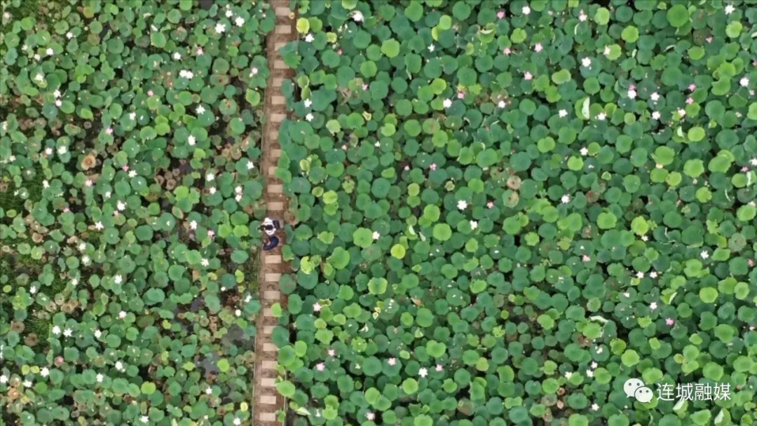 「奋斗百年路 启航新征程」“学党史、感党恩、跟党走”——塘前风雅文艺采风活动成功举办