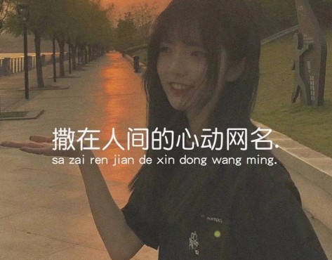 心动的渣女网名