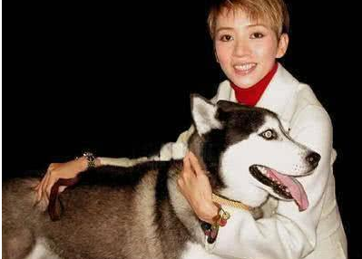 2003年梅艳芳去世，阿叻为爱绝食，7天后追随她而