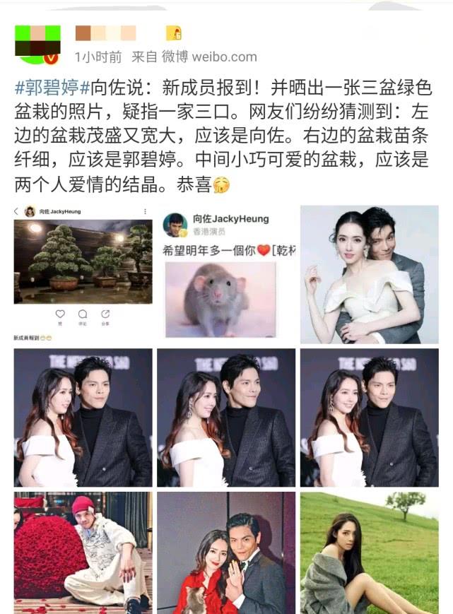 郭碧婷怀孕了？向佐欢迎新成员到来后，郭碧婷爸爸上线发声心情好