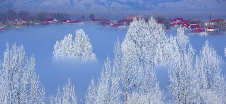 冬日有情还可爱，最美的冬日古诗词-第30张图片-诗句网
