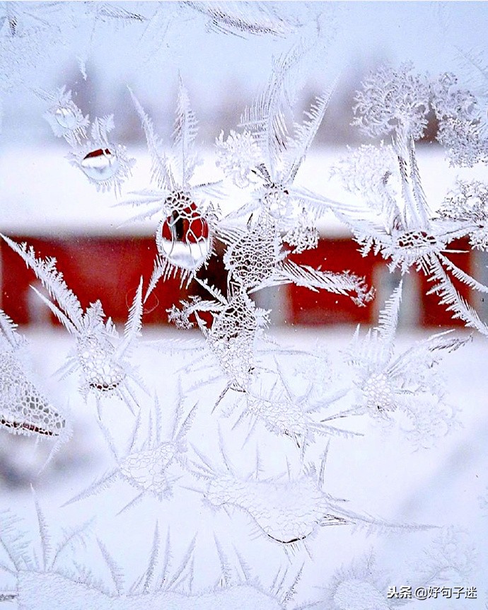 抖音下雪超级火的句子 雪景发朋友圈配一句话图片