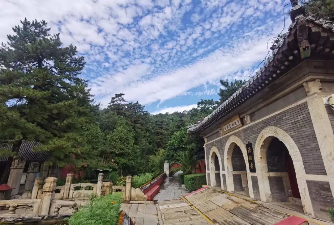 Find the quietness of ancient temples, and enjoy the beautiful scenery of early autumn at Tanzhe Temple and Jietai Temple!