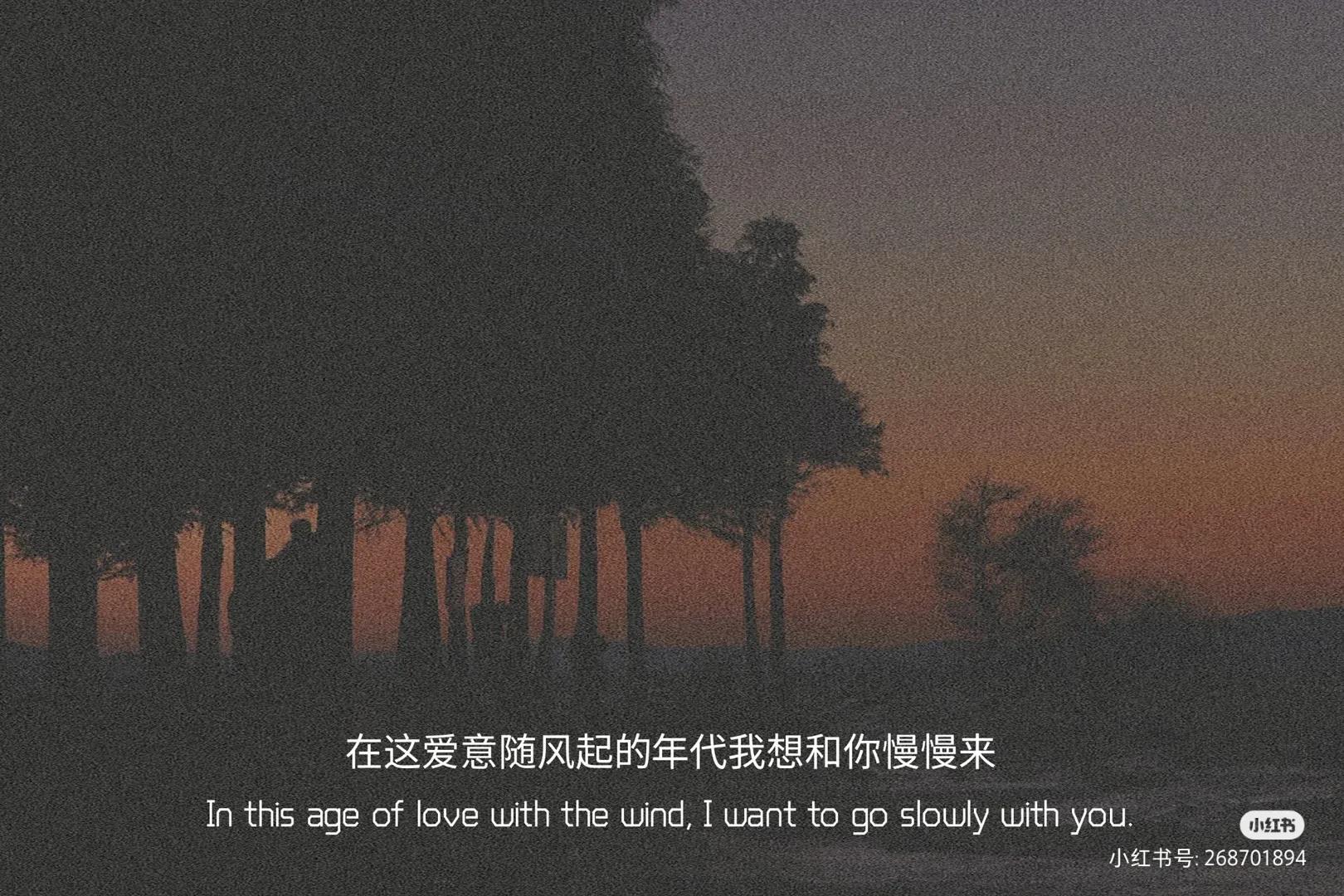 适合微信状态的文案，慢慢来吧好与不好都随缘吧