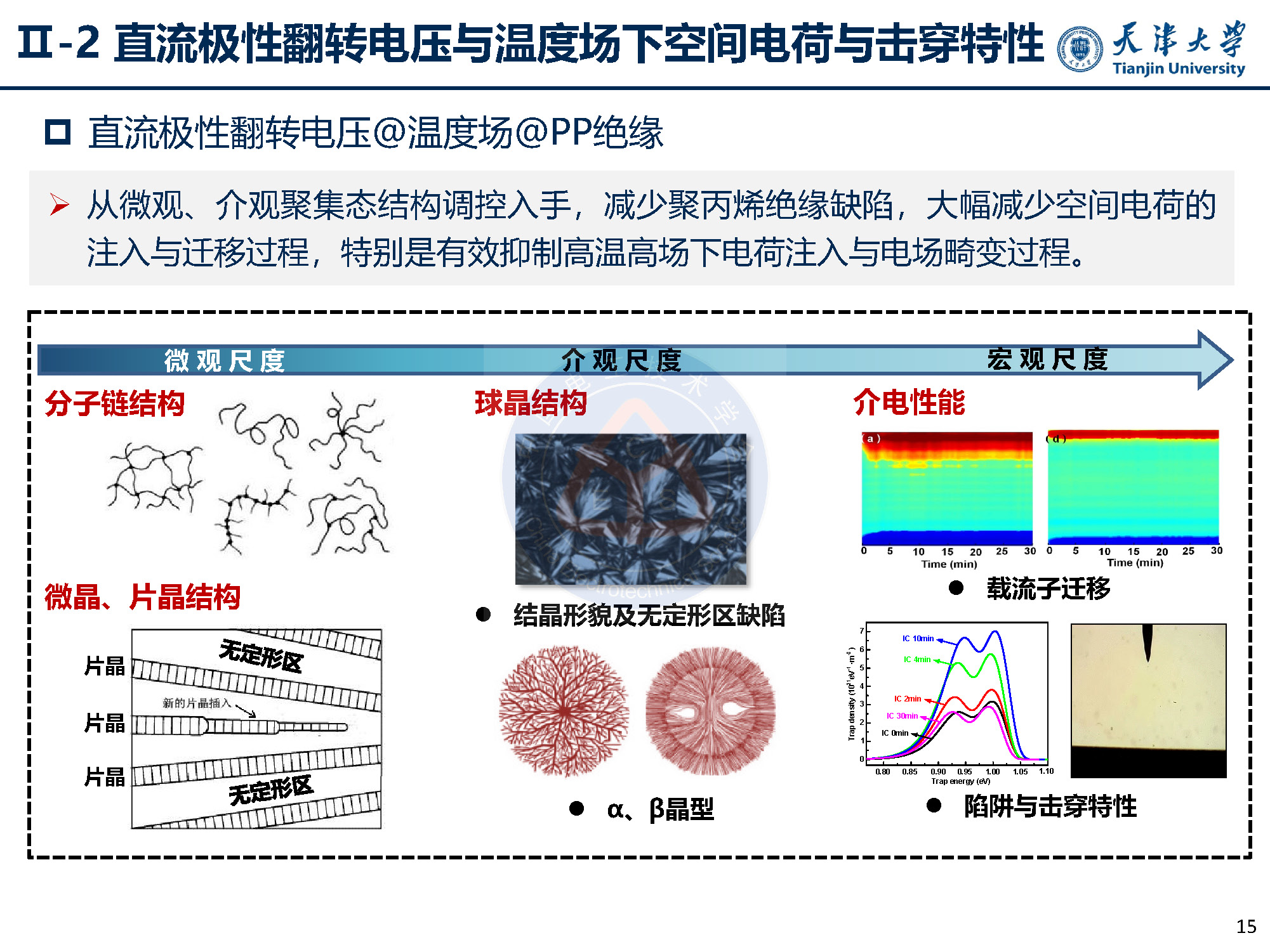 天大李忠磊副教授：多物理场下直流电缆绝缘电荷输运与击穿特性