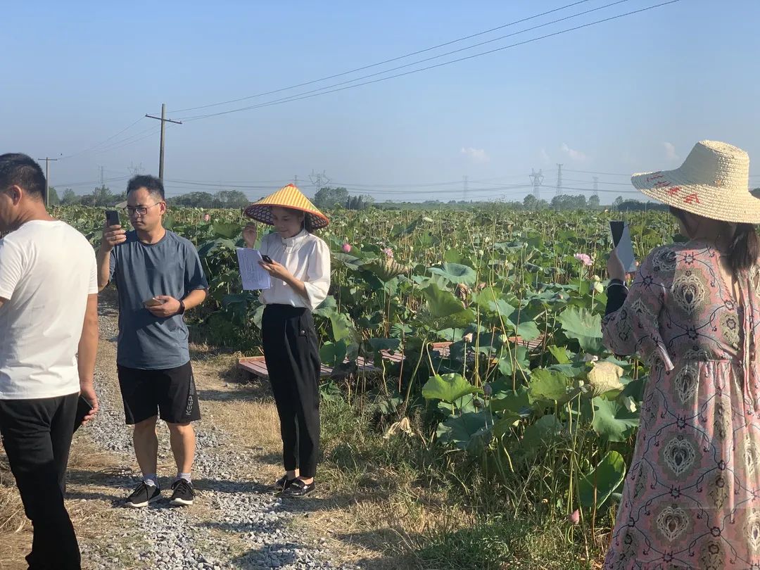 千年弋江，藕遇四连农产品助农直播和产销对接会活动获得圆满成功