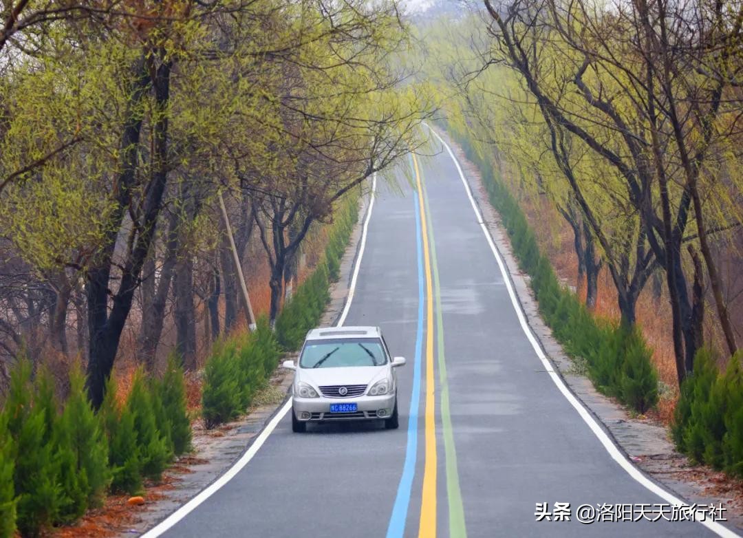 洛阳自驾游路线推荐——10条“最美乡村旅游路”