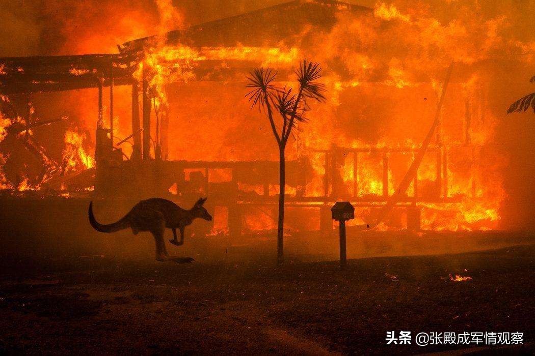 向中国递投名状？莫里森拿美国企业开刀 专家：浪子回头金不换