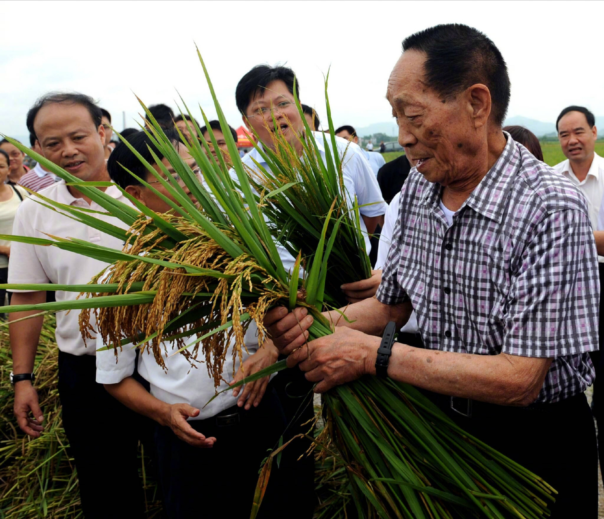 袁隆平是杂交水稻专家，可是他的家世也很显赫，这事一般人不知道