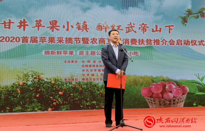 摘蘋果啦,！合陽武帝山下首屆蘋果采摘節(jié)開幕（組圖）