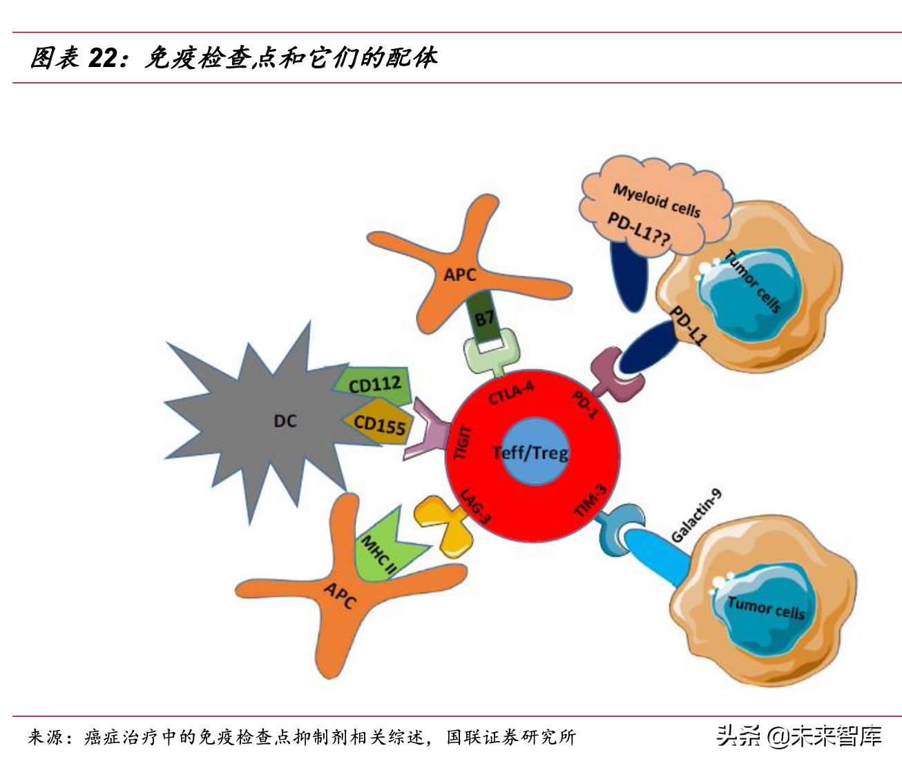医药生物行业研究与年度策略：坚守创新核心，拥抱消费景气
