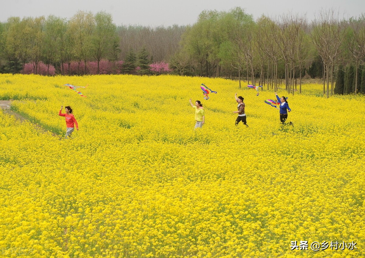 4月4日清明节，忌买鞋，“5个习俗、5个禁忌”要早知道！