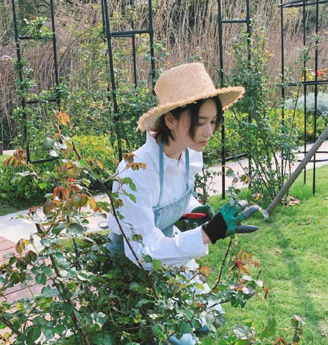 33 years old of Zhang Xin grant busy plant a flower to plant dish, autonomic life makes a person envy, this ability is yearning life