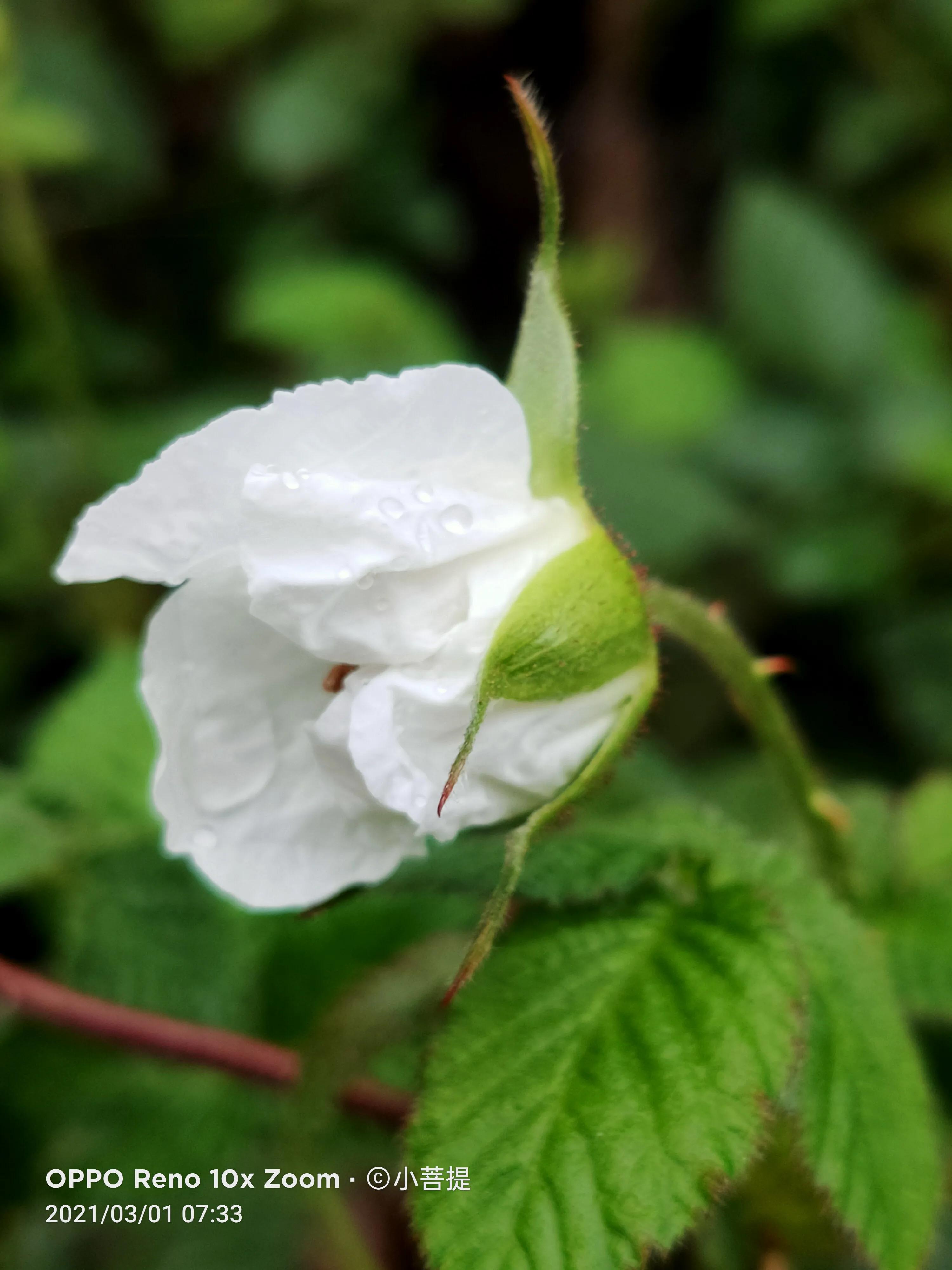 這些都不是雨水 是女孩那楚楚可憐的珠淚 原事催 Mdeditor