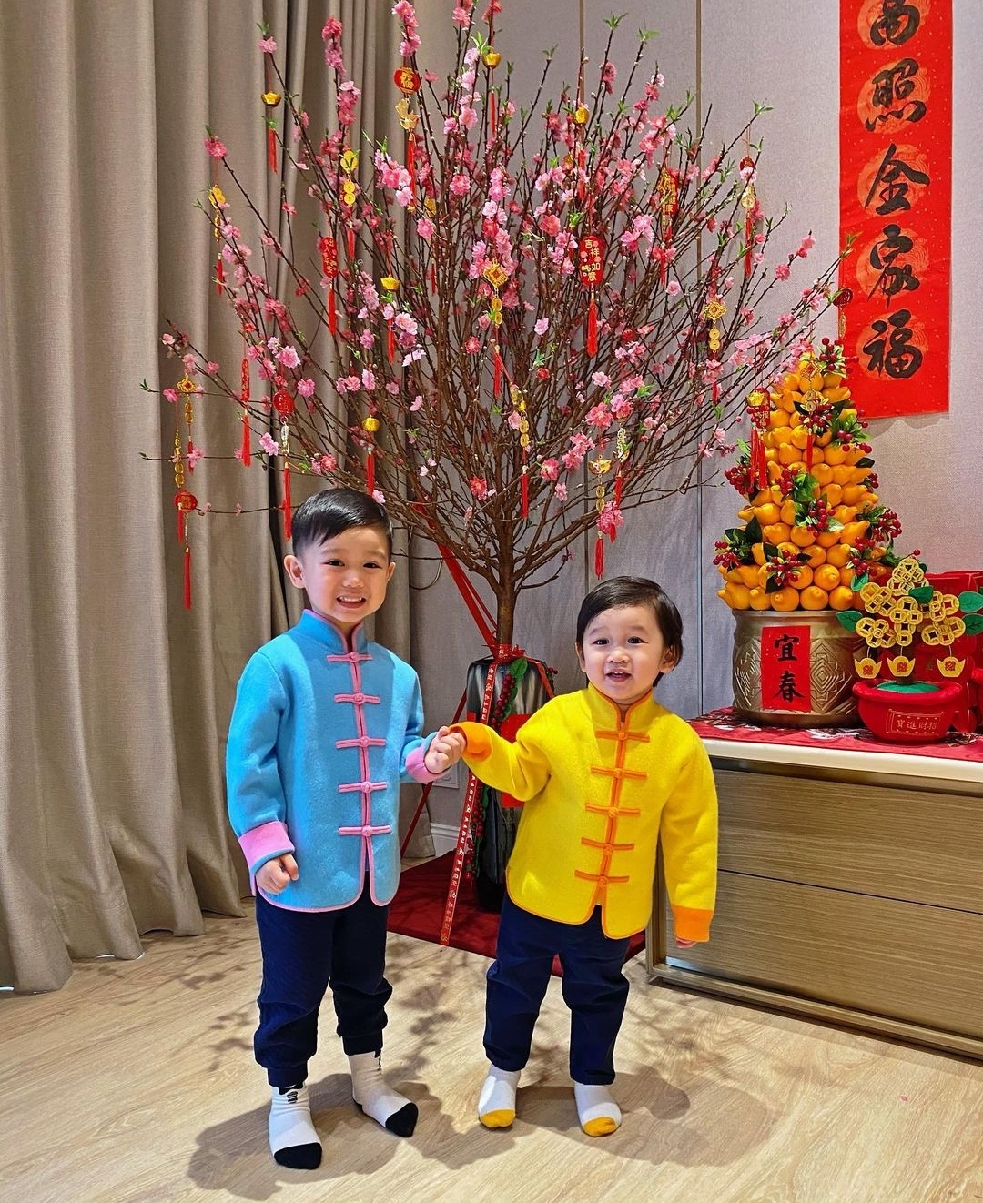 胡杏兒丈夫持家有道，攜倆兒子穿唐裝超喜慶，家種搖錢樹年味十足