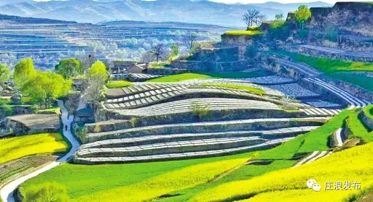 【庄浪县】初秋时节来庄浪，看百万亩梯田绝美风光！