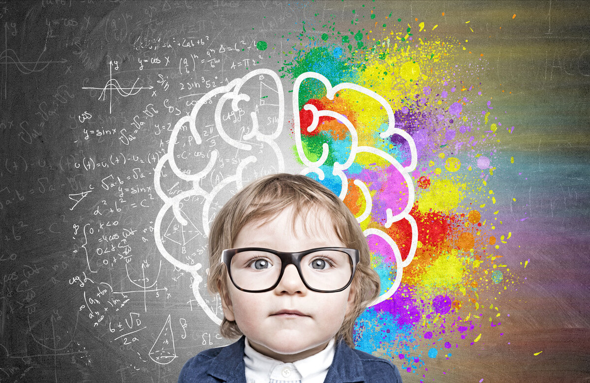 飲食能助力孩子大腦，大腦發育快速期常吃四類食物，有助提高智力