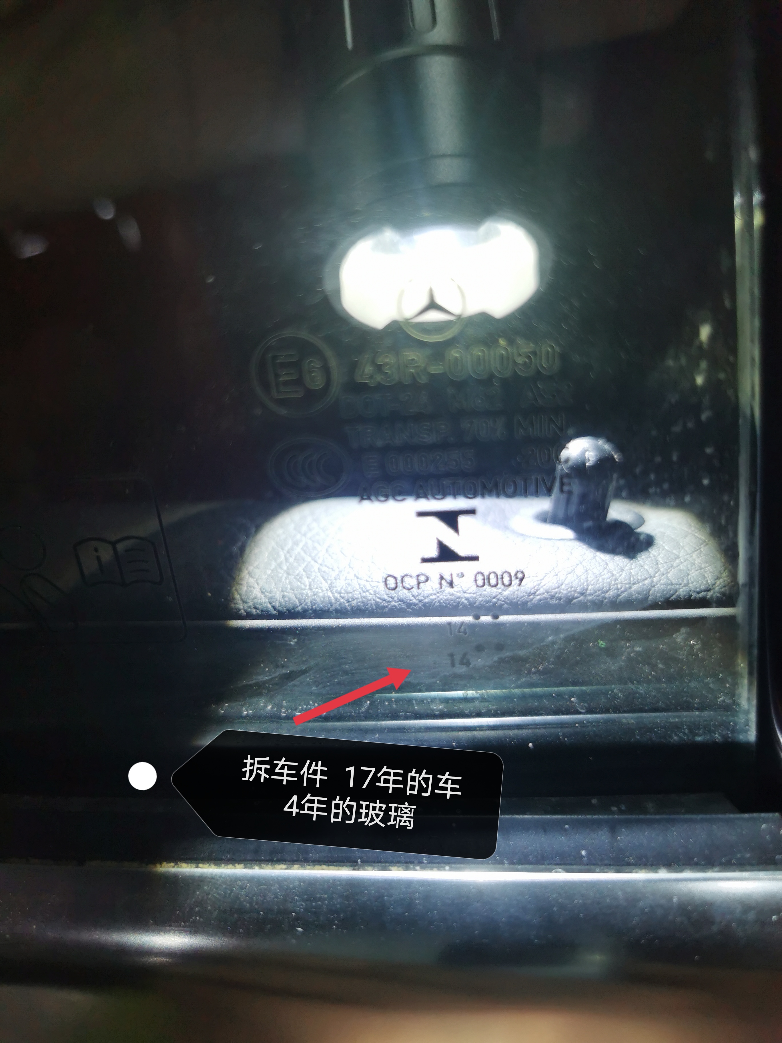 驗完車，才知被包了餃子