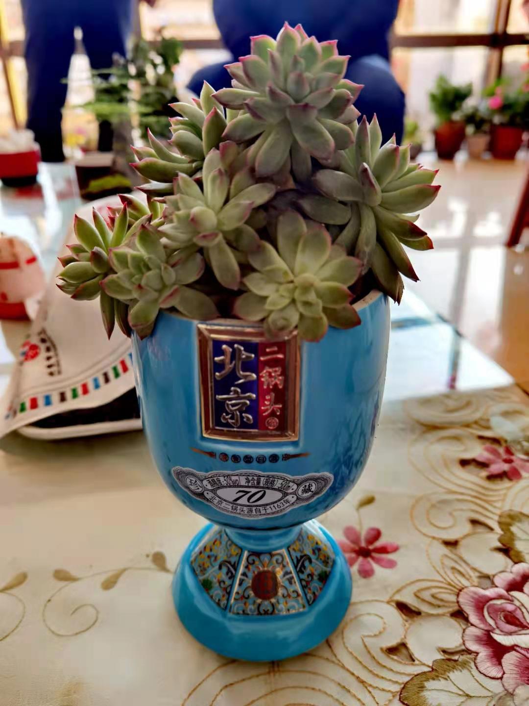 低成本打造高颜值农庄景观