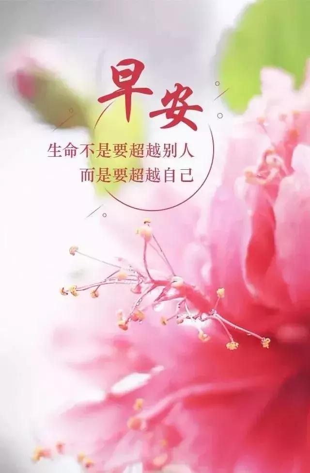 靠谁都不如靠自己的句子发朋友圈 从此不再指望任何人的说说图片