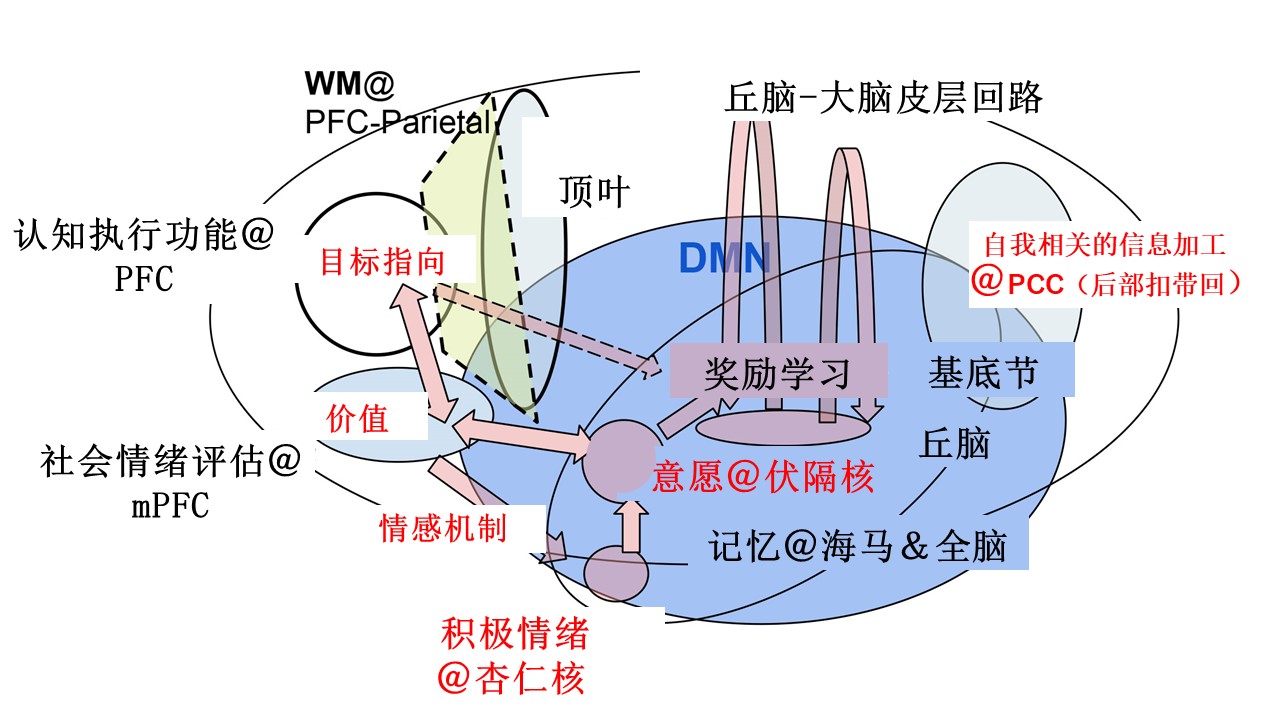 每天坚持做这7件事，升级你的大脑，你会变得越来越聪明