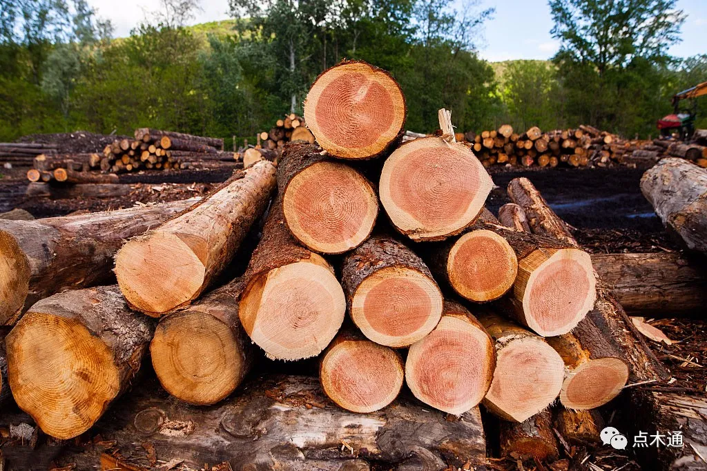 全国木材需求一片惨淡，价格持续下跌
