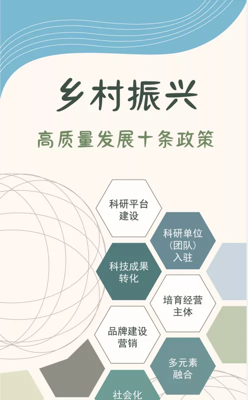 乡村振兴高质量发展十条政策