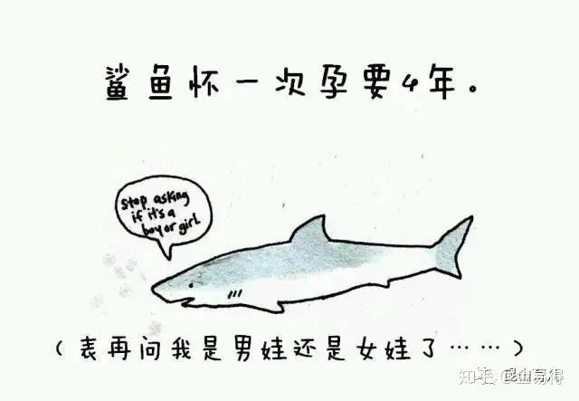 30個(ge) 有趣的科普小星空体育官网入口网站，你知道幾個(ge) ?