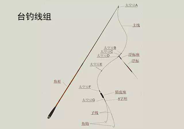 解读新渔政：为啥3种垂钓方式犯法？什么是娱乐性钓鱼？