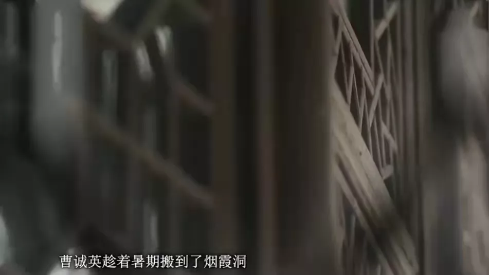 曹诚英当伴娘却爱上新郎胡适,同居怀孕后被分手,后来过得怎样了