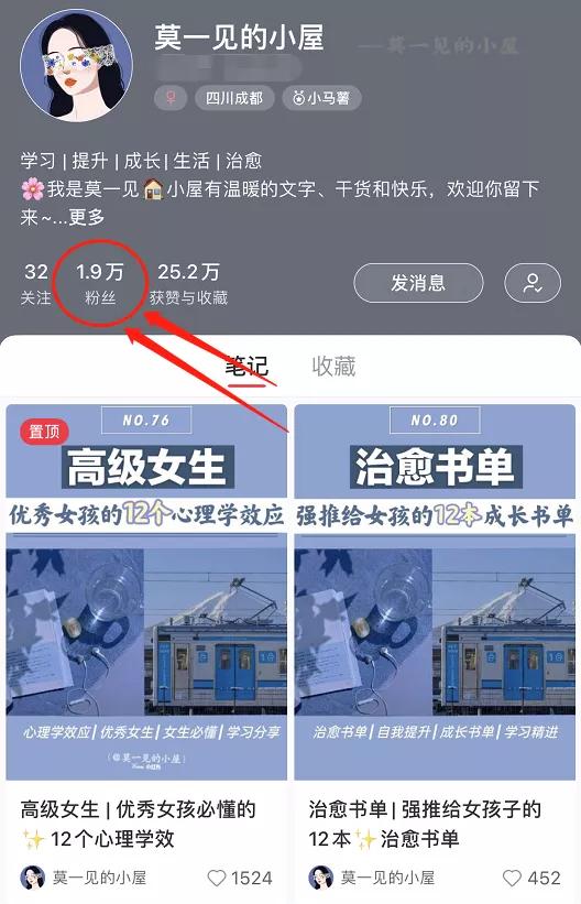100粉丝就能赚钱！为什么我建议你一定要做小红书