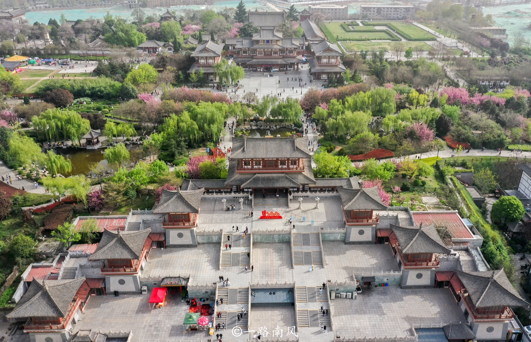 不只洛陽有牡丹 西安青龍寺的牡丹國色天香 還可以免費欣賞 一路南風 Mdeditor