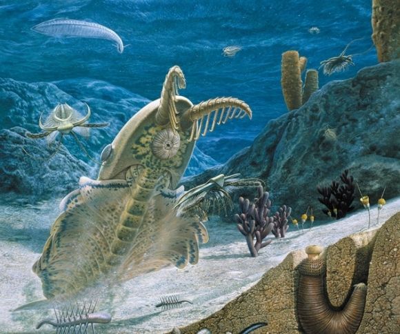 丑陋无比的奇虾，是5亿多年前海洋中无可争议的恐怖分子