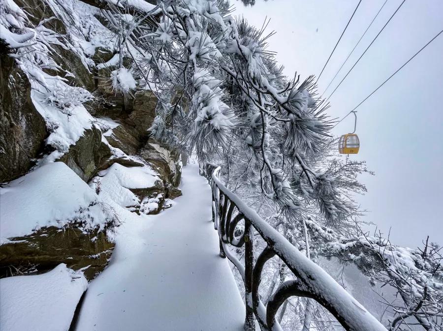 牛年第一场雪来啦！临沂继续发布道路结冰黄色预警